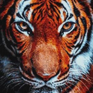 Meet your Posher, Marie